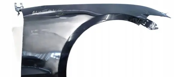 Ford Mustang VI Fender PTS4960