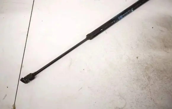 Tailgate/trunk strut/damper