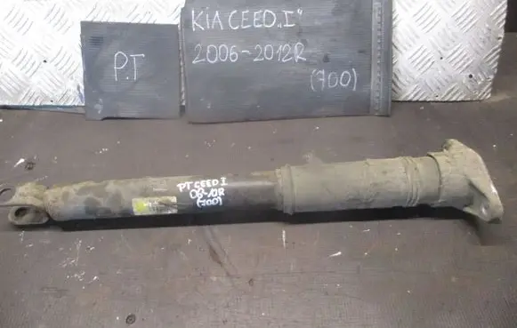 KIA Ceed Rear shock absorber with coil spring 