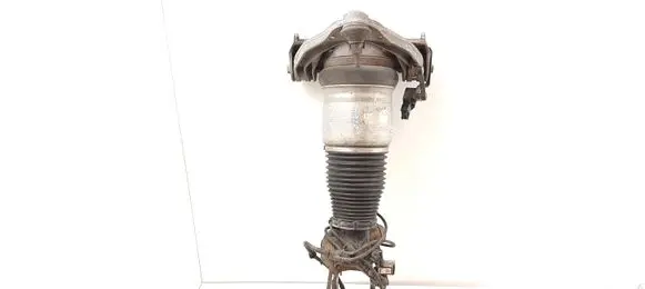 Porsche Cayenne (9PA) Air suspension front shock absorber 7L5412021AK