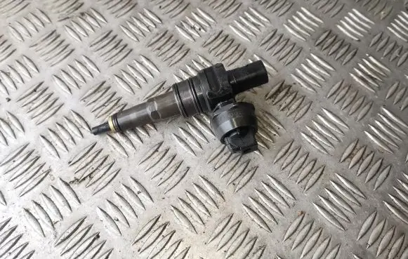 Skoda Roomster (5J) Fuel injector 038130073BP 0414720314