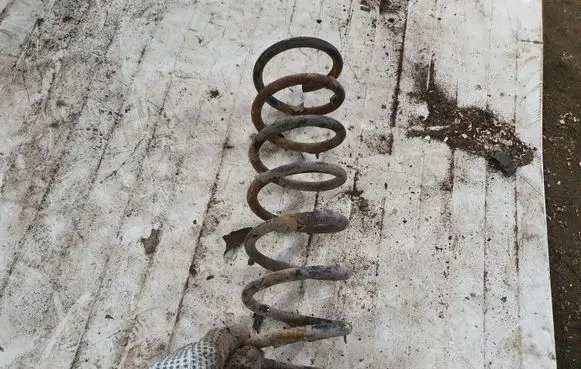 Ford Focus Rear coil spring NOCODE
