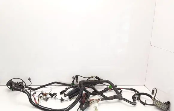 Renault Scenic I Other wiring loom 7700287072