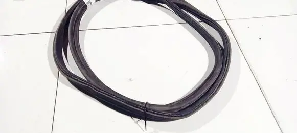 Citroen C5 Rubber seal front coupe door 