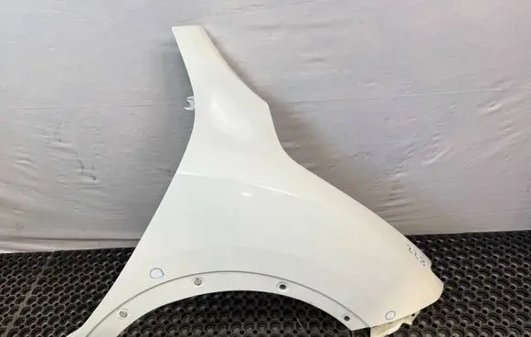 Nissan Juke I F15 Fender 