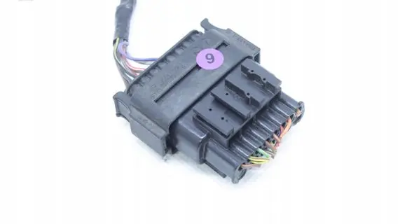 Other wiring loom