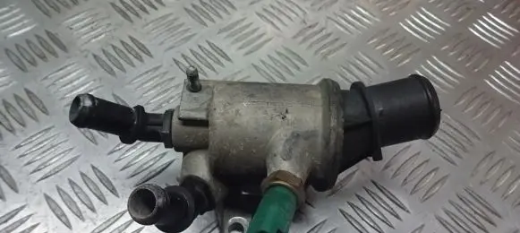 Thermostat/thermostat housing