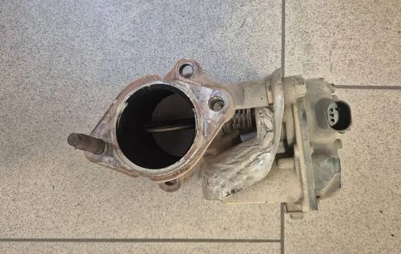 Throttle body valve