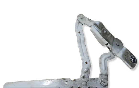 Ford Ecosport Engine bonnet/hood hinges CN1516800CC