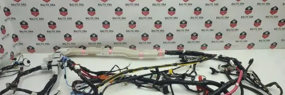 Tesla Model 3 Other wiring loom 306795500C 2NL20258B27