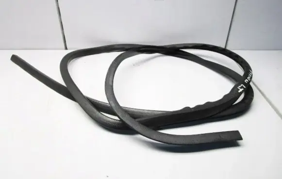 Ford Fusion Rear door rubber seal (on body) 