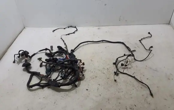 Nissan NV200 Other wiring loom 240123LS3D