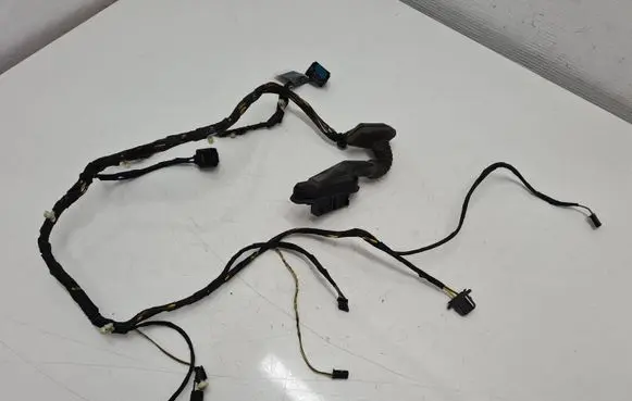 Rear door wiring loom