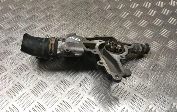 Thermostat/thermostat housing