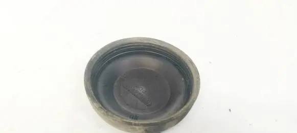 Headlight/headlamp dust cover