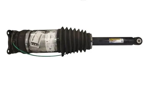 Tesla Model S Shock absorber/damper/air suspension W309255101 DN01149796 A18K01149796