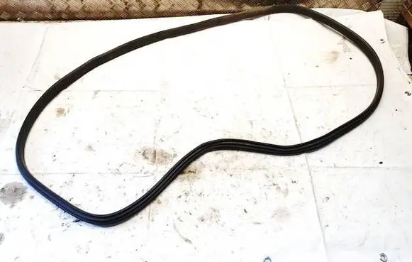 Renault Zoe Rubber seal rear door 