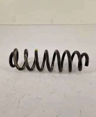 Opel Insignia B Rear coil spring 