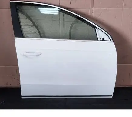 Volkswagen PASSAT B7 Front door 