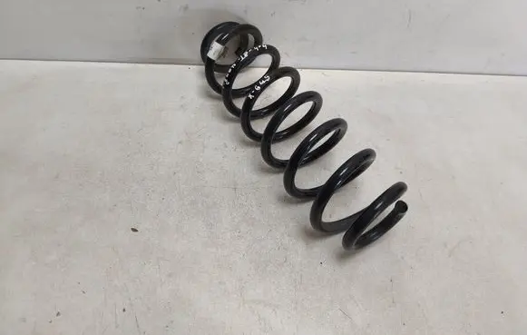 Rear coil spring