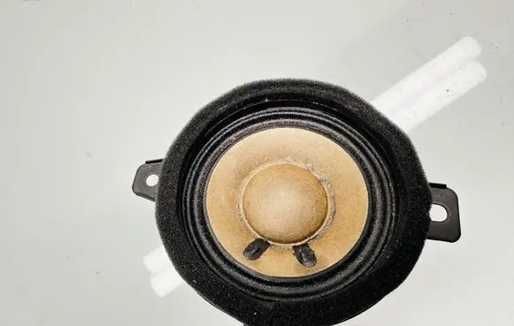 Opel Insignia B Panel speaker 13240967 654558089