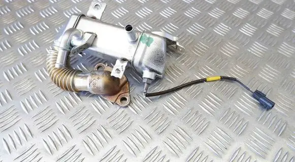 EGR valve cooler