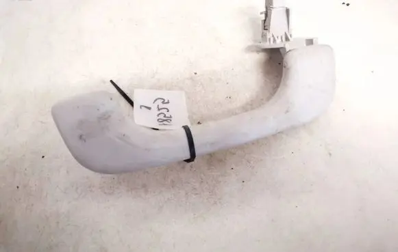 Renault Scenic II - Grand scenic II Front interior roof grab handle