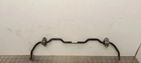 Tesla Model Y Rear anti-roll bar/sway bar 104448100E