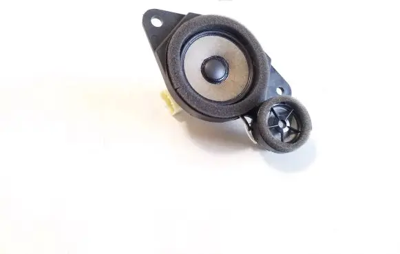 Panel speaker