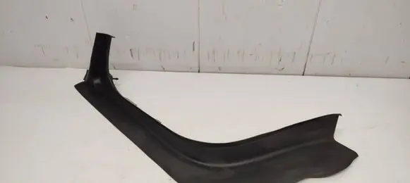 Rear/tail light trim molding