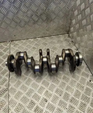 Volkswagen PASSAT B6 Crankshaft 038101AA