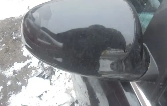 Opel Astra J Manual wing mirror 