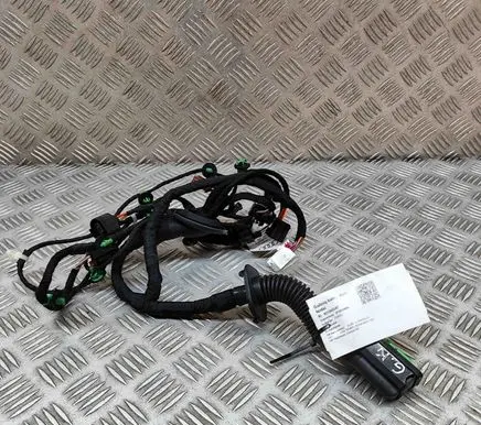 Audi E-tron GT Rear door wiring loom 4J3971687G
