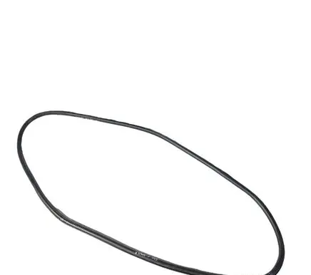 Ford Edge II Front door rubber seal
