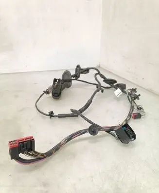 Rear door wiring loom