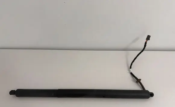 Tailgate/trunk strut/damper