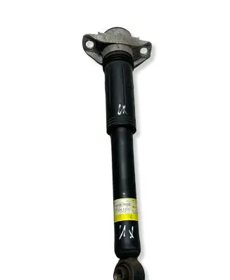 Lexus UX Rear shock absorber/damper 4853076320