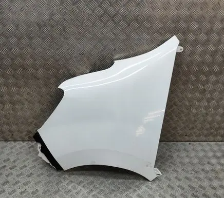 Renault Master III Fender 631010504R