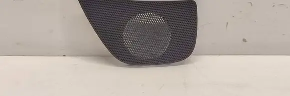 Panel speaker