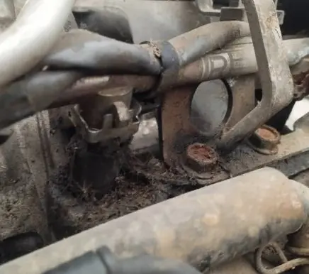 Subaru Legacy Fuel main line pipe