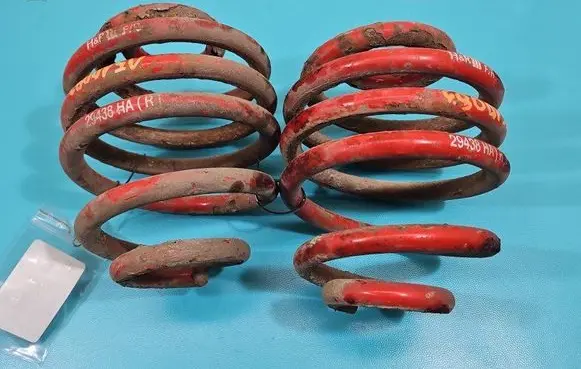 Rear coil spring