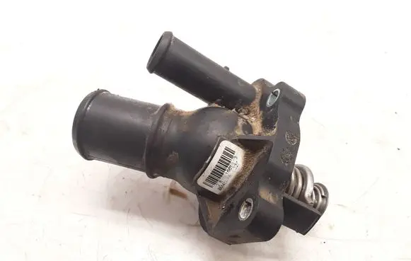 Thermostat/thermostat housing