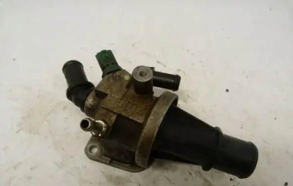 Thermostat/thermostat housing