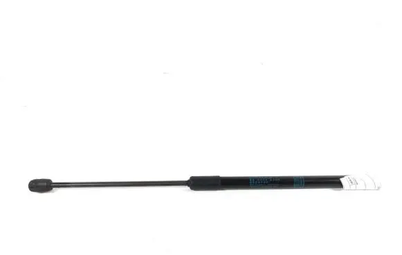 Tailgate strut