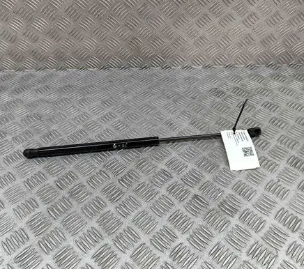 Tailgate/trunk strut/damper