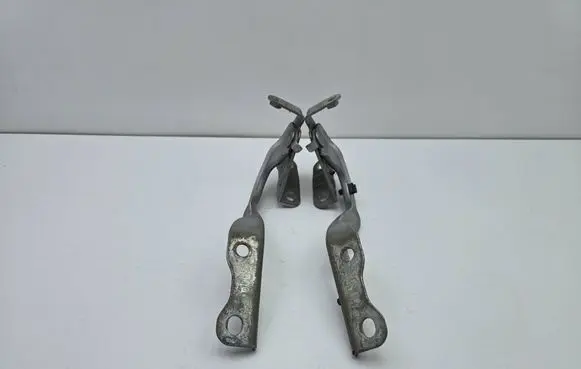 Engine bonnet/hood hinges