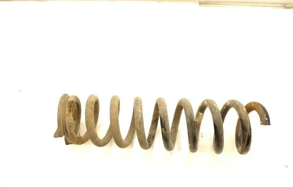 Rear coil spring