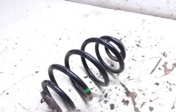 Volkswagen PASSAT B5 Rear coil spring