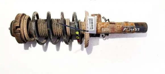 Skoda Roomster (5J) Front shock absorber/damper 