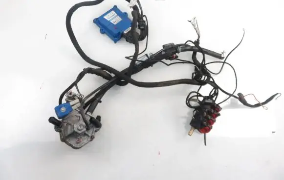 Renault Megane I LP gas equipment set 67R011029